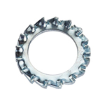 External Serrated Washers