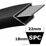 SPC Section Muscle V-Belt