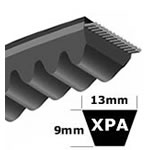 XPA Section Muscle Cogged V-Belt