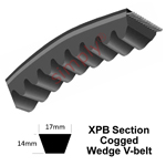 XPB Section Muscle 3 Cogged V-Belt