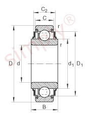 INA Bearing Insert