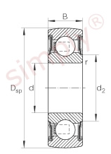 INA Bearing Insert