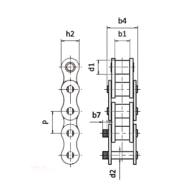 Sedis Chain