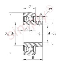 INA Bearing Insert