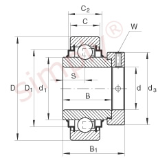 INA Bearing Insert