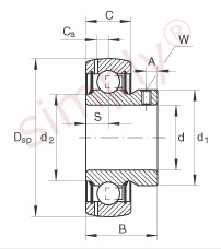 INA Bearing Insert