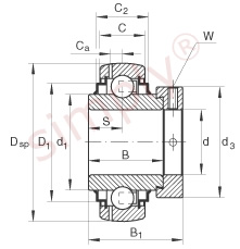 INA Bearing Insert