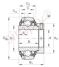 INA Bearing Insert