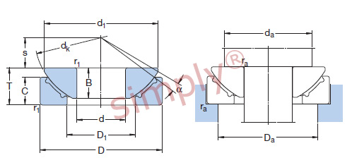 Spherical Plain Bearing
