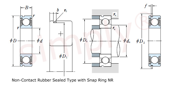 Sheilded Type with Snap Ring
