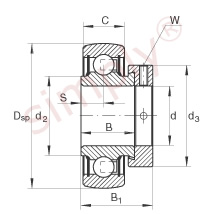 INA Bearing Insert