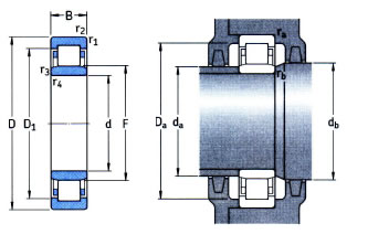 SKF Insocoat Bearing