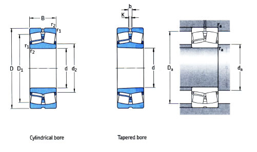 SKF Spherical Roller Bearing for Vibratory Applications