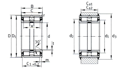 SL04---PP Double Row Full Complement Cylindrical Roller Bearing with Snap Ring Grooves for Cable Sheaves