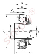 INA Bearing Insert