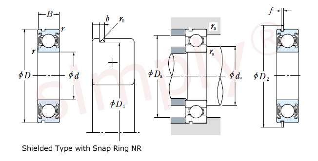 Sheilded Type with Snap Ring