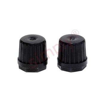 Pack of 2 Plastic Schrader Valve Caps (Keep the Dirt Out)