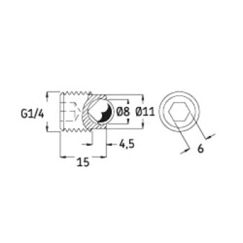 SKF 233950E Plug for Oil Ducts and Vent Holes G 1/4 Thread upto 400 MPa