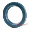 INA G17X25X3B Single Lip Nitrile Rubber Oil Seal 17x25x3mm