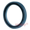 INA G22X28X4AB Single Lip Nitrile Rubber Oil Seal 22x28x4mm