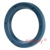 INA G22X30X4A Single Lip Nitrile Rubber Oil Seal 22x30x4mm