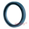 INA G25X33X4B Single Lip Nitrile Rubber Oil Seal 25x33x4mm