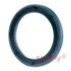 INA G28X37X4AB Single Lip Nitrile Rubber Oil Seal 28x37x4mm (CR28374)