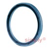 INA G35X42X4BB Single Lip Nitrile Rubber Oil Seal 35x42x4mm