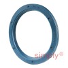 INA G38X48X4A Single Lip Nitrile Rubber Oil Seal 38x48x4mm