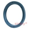 INA G38X48X4BB Single Lip Nitrile Rubber Oil Seal 38x48x4mm
