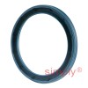 INA G38X48X4BB Single Lip Nitrile Rubber Oil Seal 38x48x4mm