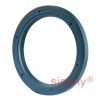 INA G40X52X5B Single Lip Nitrile Rubber Oil Seal 40x52x5mm