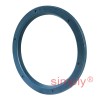 INA G45X55X4AB Single Lip Nitrile Rubber Oil Seal 45x55x4mm