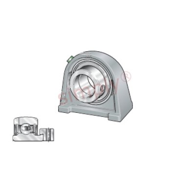 INA PSHE55XL Cast Iron Threaded Base Plummer Block Housing with Eccentric Collar Insert 55mm Bore