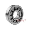 NSK NJ305 Single Row Cylindrical Roller Bearing 25x62x17mm