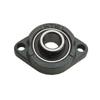 NTN ASFB204 Metric Two Bolt Oval Cast Iron Flange Housing with 20mm Bore Insert