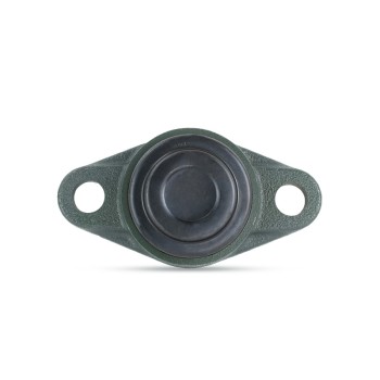 NTN M-SM-UCFL205D1 Metric Two Bolt Oval Cast Iron Flange Housing with 25mm Bore Insert with Steel Plate Cover - Closed Version - Allow 2-3 Days