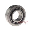 NU2206 Steel Cage Single Row Cylindrical Roller Bearing 30x62x20mm