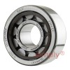 SKF NU2304ECP Single Row Cylindrical Roller Bearing with Polyamide Cage 20x52x21mm