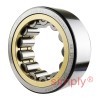 NU2310 Budget Single Row Cylindrical Roller Bearing 50x110x40mm