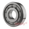 NUP304 Budget Single Row Cylindrical Roller Bearing 20x52x15mm