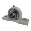 RHP PNP30CR Thermo Plastic Two Bolt Pillow Block Housing with 30mm Bore Stainless Insert