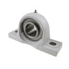 RHP PNP40CR Thermo Plastic Two Bolt Pillow Block Housing with 40mm Bore Stainless Insert