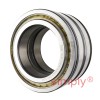 SL045011-PP Double Row Full Complement Cylindrical Roller Bearing with Snap Ring Grooves (Cable Sheave Bearings) 55x90x46mm