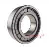 SL181848-E Single Row Full Complement Cylindrical Roller Bearing 240x300x28mm