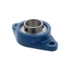 UCFL205 Metric Two Bolt Oval Cast Iron Flange Housing with 25mm Bore Insert